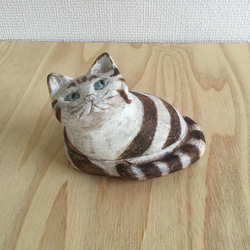 Shimashima Tora Cat Kagoi 第6張的照片