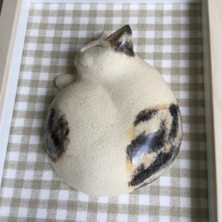 額入りアンモニャイト猫(陶器) 5枚目の画像