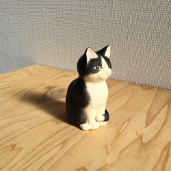 貓咪桃樂絲 第2張的照片
