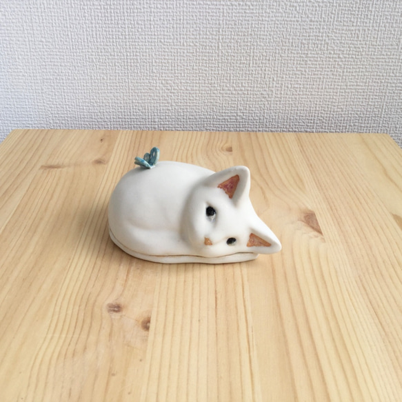 陶瓷白色小貓蝴蝶配件盒 第1張的照片