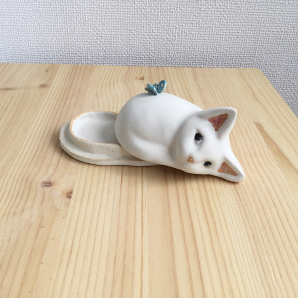 陶瓷白色小貓蝴蝶配件盒 第5張的照片