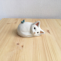 陶瓷白色小貓蝴蝶配件盒 第6張的照片
