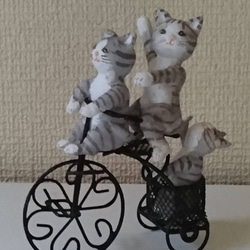 三輪車に乗る3匹のネコ 1枚目の画像