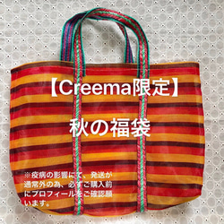 HKM-2020 autumn Lucky bag-c 刺繍フラワー 2枚目の画像