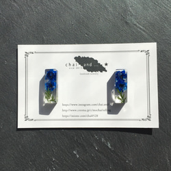 氷中花　かすみ草　earring/pierce　 Blue 2枚目の画像