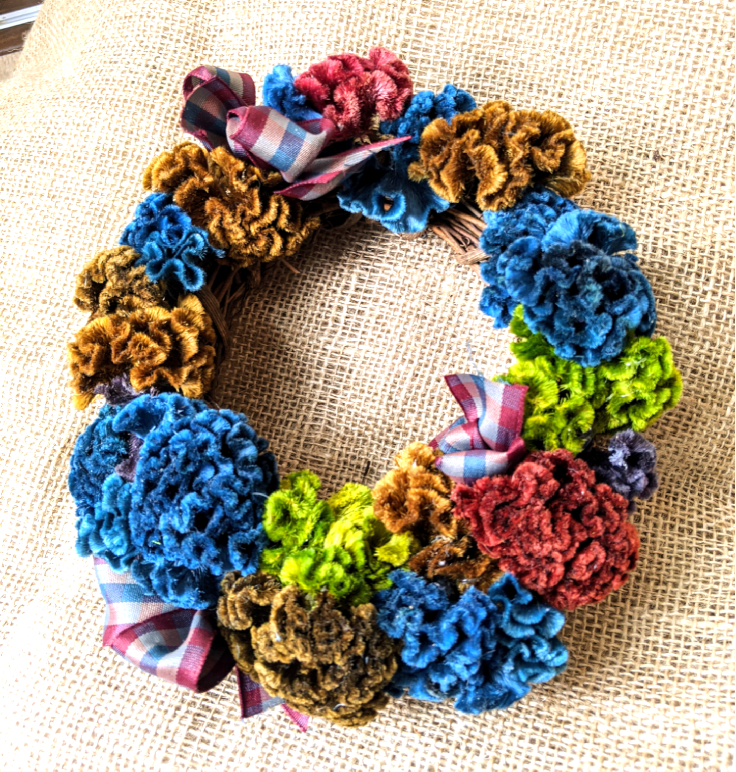 早割り お値引☆クリスマスリース ケイトウ·͜·ᰔᩚ