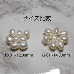 【おすすめ】超大粒 高品質バロック淡水パール 5粒 12~14mm*8~11mm 本真珠 フラット 3枚目の画像