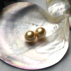 白蝶ゴールドパール 無穴 12.1mm 1粒 ラウンド系 ゴールデン真珠 最高級素材 ルース 素材 パーツ 金 2枚目の画像