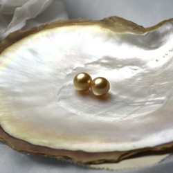 白蝶ゴールドパール 無穴 12.1mm 1粒 ラウンド系 ゴールデン真珠 最高級素材 ルース 素材 パーツ 金 5枚目の画像