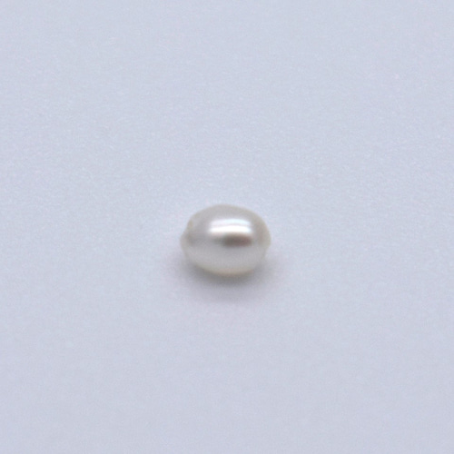 超極小 1.5~2mm*2~3mm 白 淡水パール 本真珠 10粒 ベビー 超極小 1.5~2mm*2~3mm 白 淡水パール 本真珠 10粒 ベビー