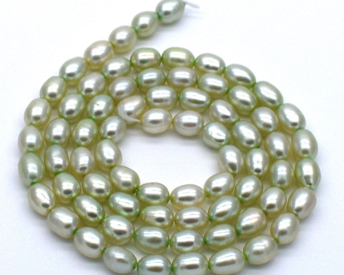 連 40cm 淡水パール ライス パステルグリーン系 5~6mm*4~4.5mm 真珠