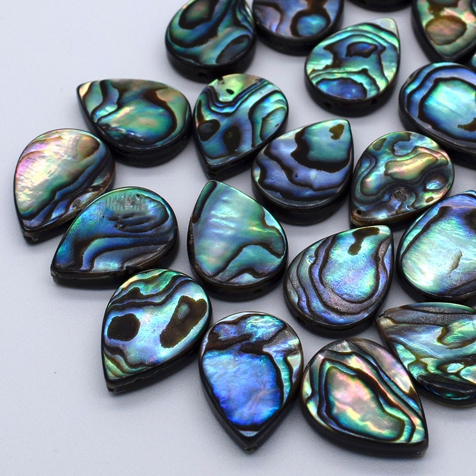 約21×17cm グリーンアバロン　アワビ　貝殻　アバロンシェル　790g