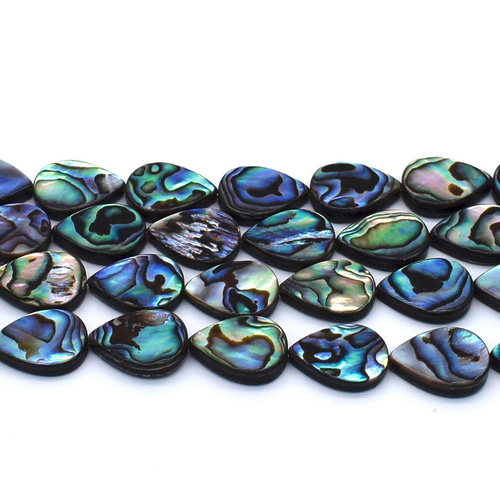 グリーンアバロン　アワビ　パウア貝　アバロンシェル　815g 約23×17cm アバロン シェル（パウワ・アワビ）貝皿 | 海界 una saka