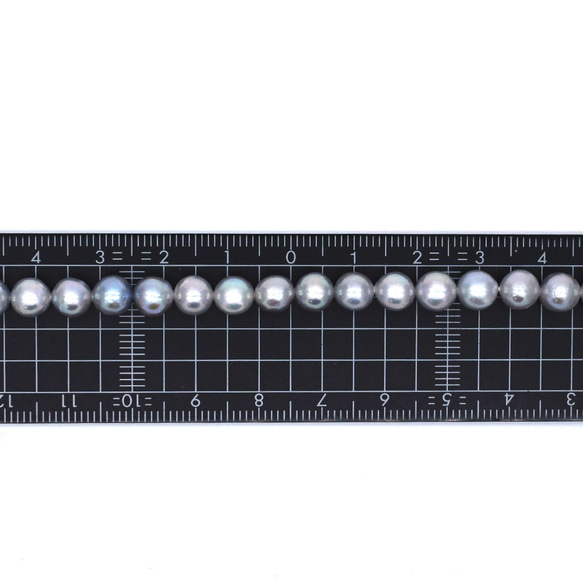 特別SALE 淡水パール ラウンド 連40cm シルバーグレー系 アコヤ真珠ナチュラル調カラー 中粒 5.5mm ルース 4枚目の画像