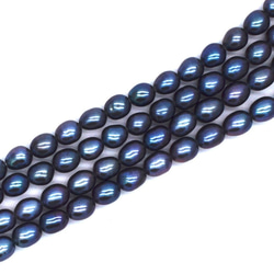 10粒 淡水真珠 ネイビーブルー系 小粒 ライス 5mm ルース パール ビーズ パーツ 3枚目の画像