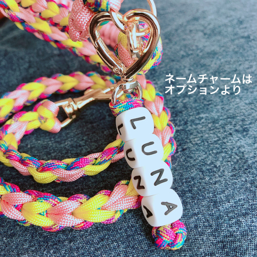 paraco K.style | オーダー頂きました😊黒ラブちゃん🐶 ハーフ