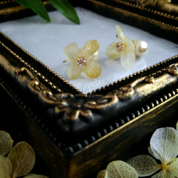 (軟骨クリップ)金箔×オフホワイト紫陽花とコットンパールの耳飾り/重ね付けでぐっと華やかに/受注制作 1枚目の画像