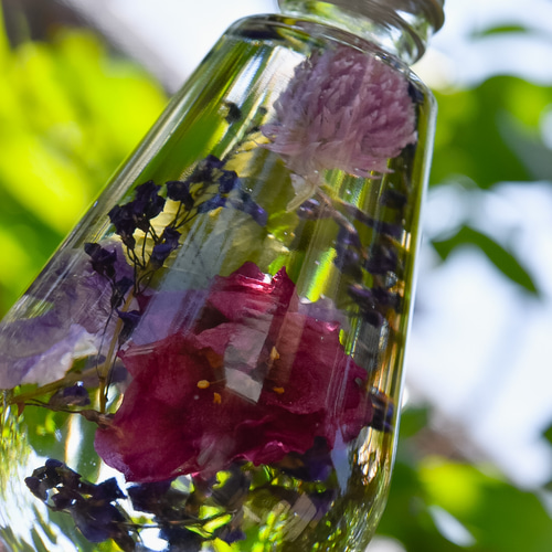 ハーバリウム　　椿 ハーバリウム椿