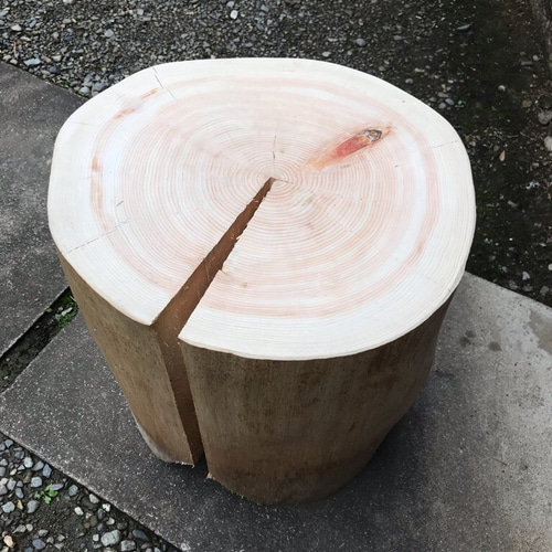 杉 丸太 椅子 スツール 高さ約38㎝