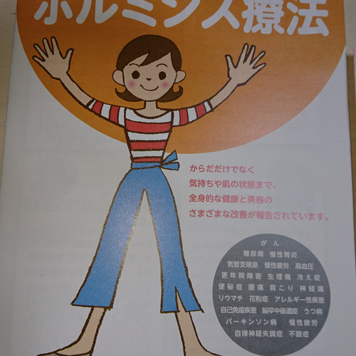 ホルミシスネックレス(石20個、資料) ネックストラップ たろう 通販