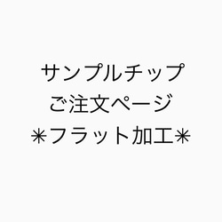 ✳︎サンプルチップ✳︎フラット加工✳︎ 1枚目の画像