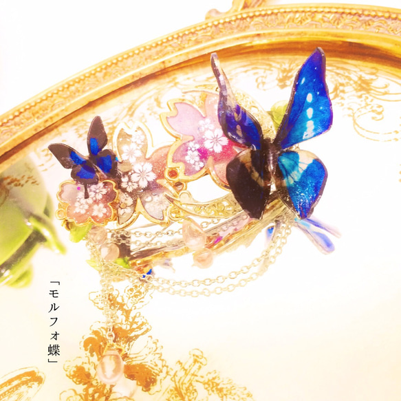特集掲載「蝶々の楽園」 本物のモルフォ蝶の色変化と蓄光バレッタ 2枚目の画像