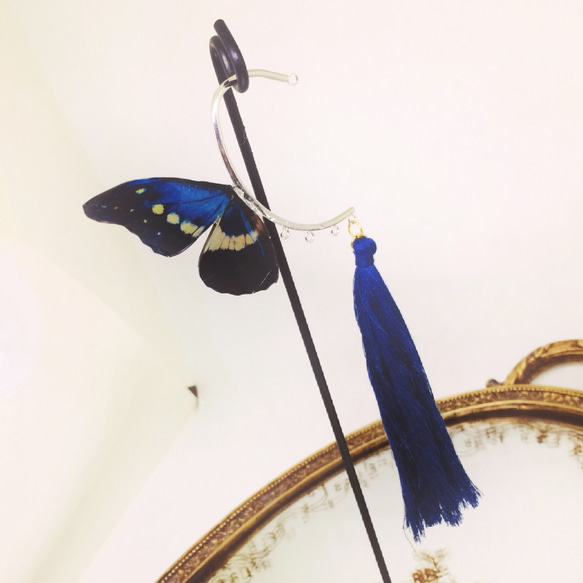 片翼のモルフォ蝶 イヤーフック 2枚目の画像