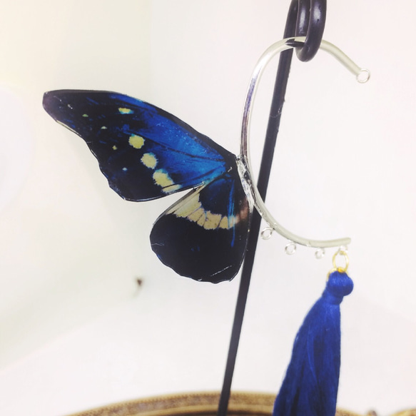片翼のモルフォ蝶 イヤーフック 3枚目の画像