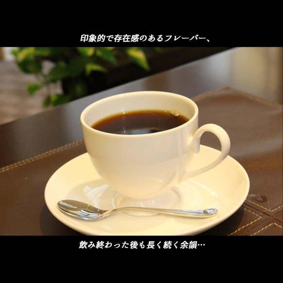 コーヒー豆【かぐや姫ブレンド】100ｇ 3枚目の画像