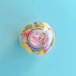 玻璃莢萬花筒「花莢」乾燥花蜜尾/粉紅色 第3張的照片