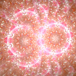 玻璃莢萬花筒「花莢」乾燥花蜜尾/粉紅色 第6張的照片