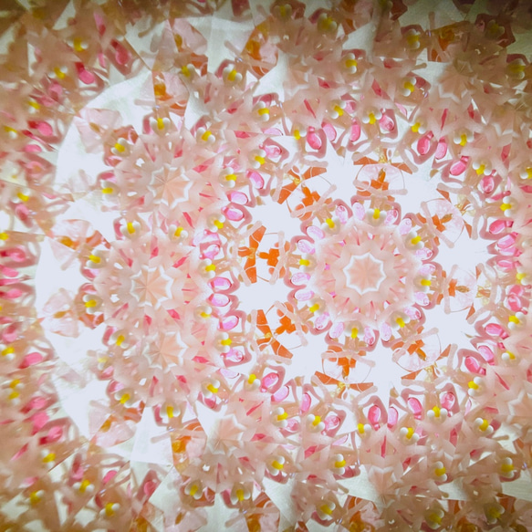ガラスポッドの万華鏡『フラワーポッド』ドライフラワー　ハニーテール/pink 1枚目の画像