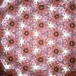 手の中の花束/﻿﻿万華鏡 『petit scope』ドライフラワー 花束 6枚目の画像