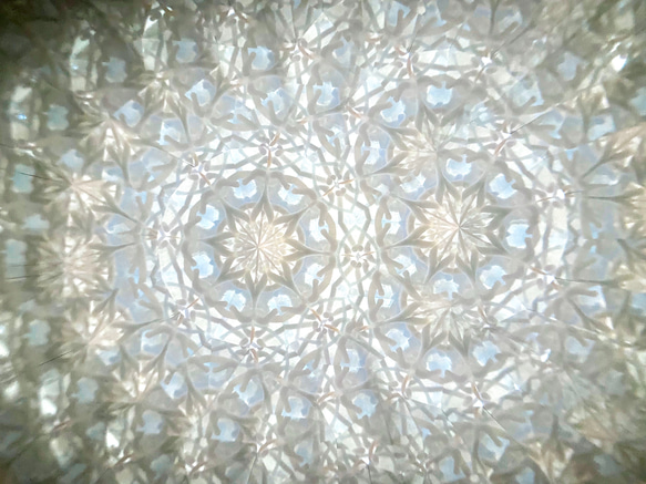 玻璃莢萬花筒「花莢」乾燥花蜜尾/白色 第4張的照片