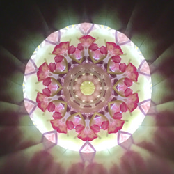 母の日ギフトに❁﻿万華鏡 「フラワーポッド/ボタニカル」ドライフラワー プリザーブドフラワー アレンジメント 3枚目の画像