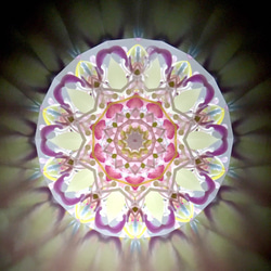 万華鏡 「フラワーポッド/ボタニカル」ドライフラワー プリザーブドフラワー アレンジメント 4枚目の画像
