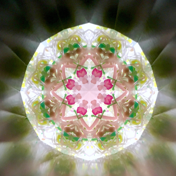 母の日ギフトに❁﻿万華鏡 「フラワーポッド/ボタニカル」ドライフラワー プリザーブドフラワー アレンジメント 10枚目の画像