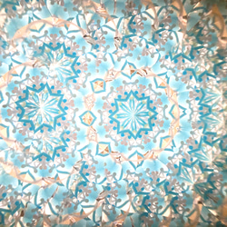 萬花筒玻璃莢「花莢」乾燥花千日紅/淺藍 第7張的照片