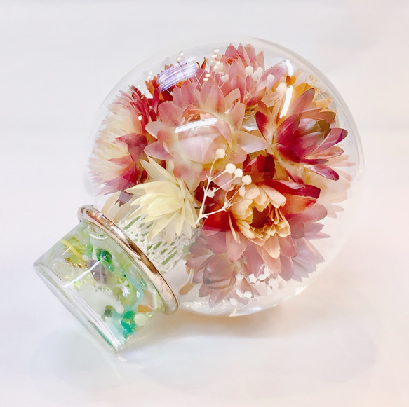 玻璃莢萬花筒“花莢”乾花蠟菊/黃綠色 第4張的照片