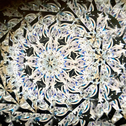 玻璃莢萬花筒“花莢”乾花蠟菊/白色 第7張的照片