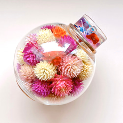 万華鏡『フラワーポッド』ドライフラワー千日紅 花 /red 赤 1枚目の画像
