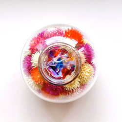 万華鏡『フラワーポッド』ドライフラワー千日紅 花 /red 赤 2枚目の画像