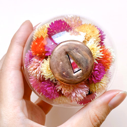 万華鏡『フラワーポッド』ドライフラワー千日紅 花 /red 赤 3枚目の画像