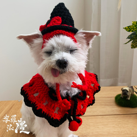Halloween萬聖節限定-小魔女飛呀-寵物披風 帽子 領巾 巫婆 第9張的照片