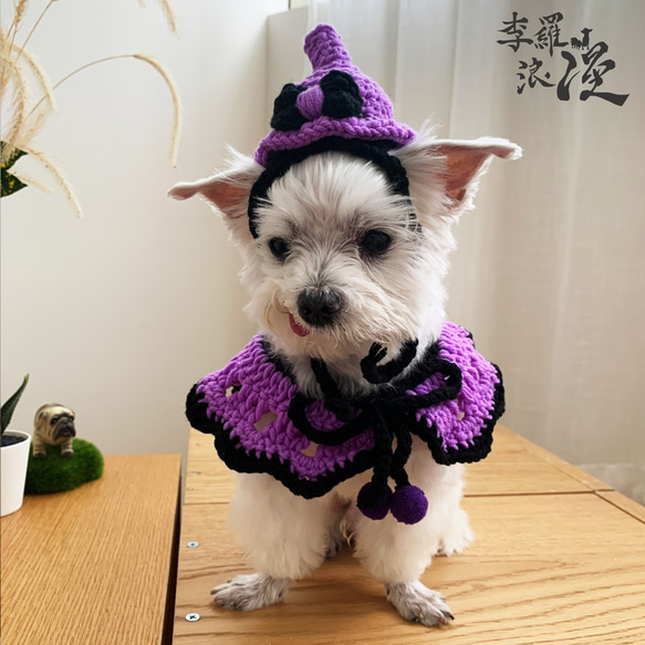 Halloween萬聖節限定-紫巫婆高高在上-寵物披風 帽子 領巾 巫婆 第4張的照片