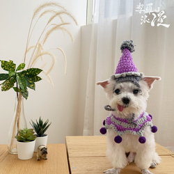 Halloween萬聖節限定-紫巫婆心情好-寵物披風 帽子 領巾 巫婆帽 第6張的照片