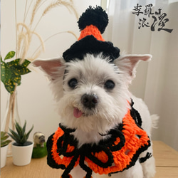 Halloween萬聖節限定-好橘的打扮-寵物披風 帽子 領巾 巫婆 蜘蛛 第4張的照片