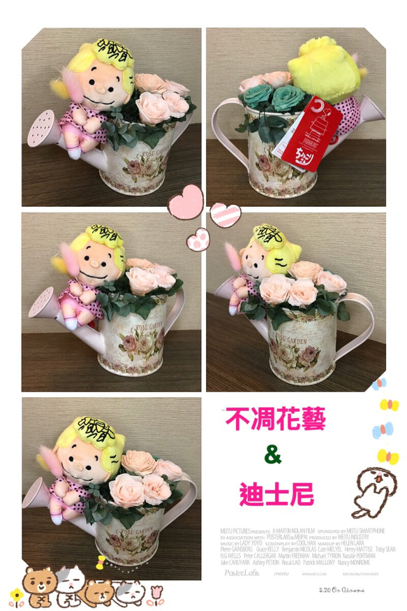 *:.ღ 日本不凋花藝 ღ.:* 迪士尼系列~莎莉布朗 ღ.:*【歡迎專屬訂製】 第5張的照片