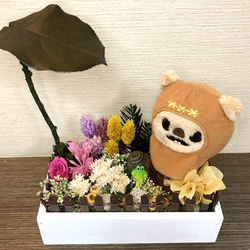 *:.ღ 日本不凋花藝 ღ.:* 迪士尼系列 小花園 ღ.:*【歡迎專屬訂製】 第2張的照片