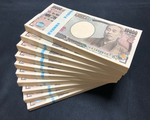 100万円 札束 5束 ダミー 金融機関共通 文字入り リアル に作 100万円 札束 5束 ダミー 金融機関共通 文字入り リアル に作